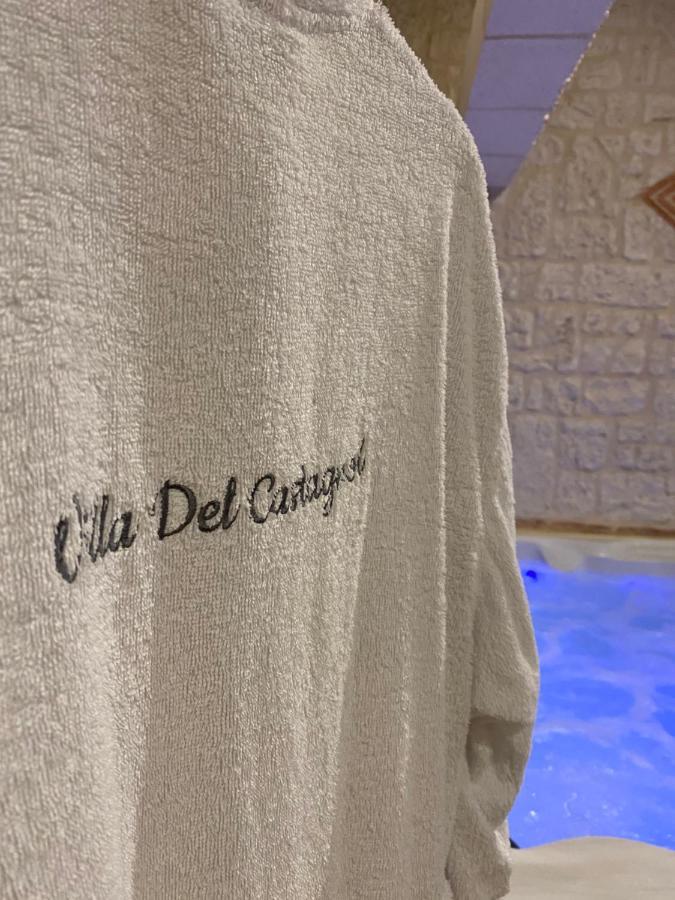 Villa Del Castagnol サン・ネクサン エクステリア 写真